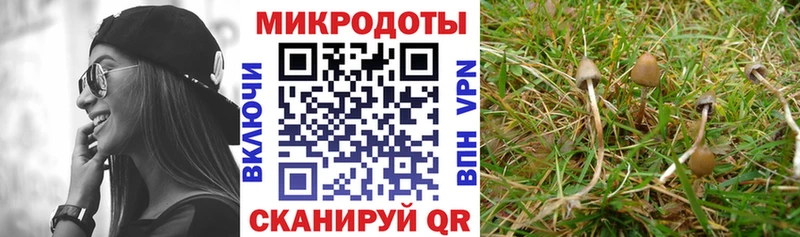 Псилоцибиновые грибы GOLDEN TEACHER  Купить закладки  Якутск 